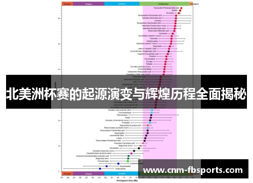 北美洲杯赛的起源演变与辉煌历程全面揭秘