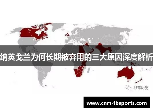 纳英戈兰为何长期被弃用的三大原因深度解析 纳英戈兰为何长期被弃用的三大原因深度解析