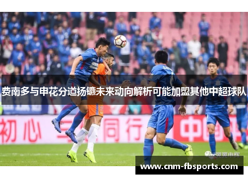 费南多与申花分道扬镳未来动向解析可能加盟其他中超球队 费南多与申花分道扬镳未来动向解析可能加盟其他中超球队