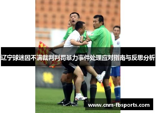 辽宁球迷因不满裁判判罚暴力事件处理应对指南与反思分析 辽宁球迷因不满裁判判罚暴力事件处理应对指南与反思分析